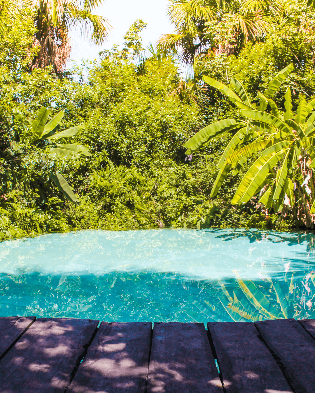 JALAPÃO  ENCANTADOR